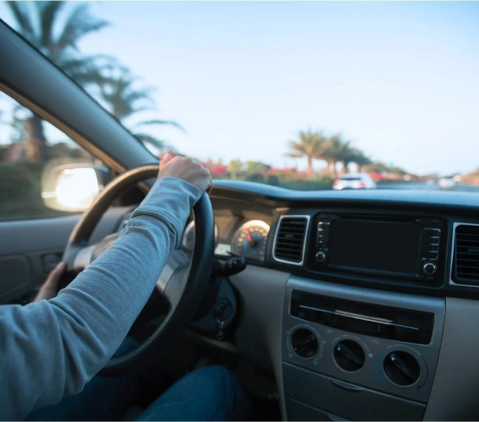 Driver at the wheel of a car on a palm-lined UAE road, illustrating converting an international driving licence